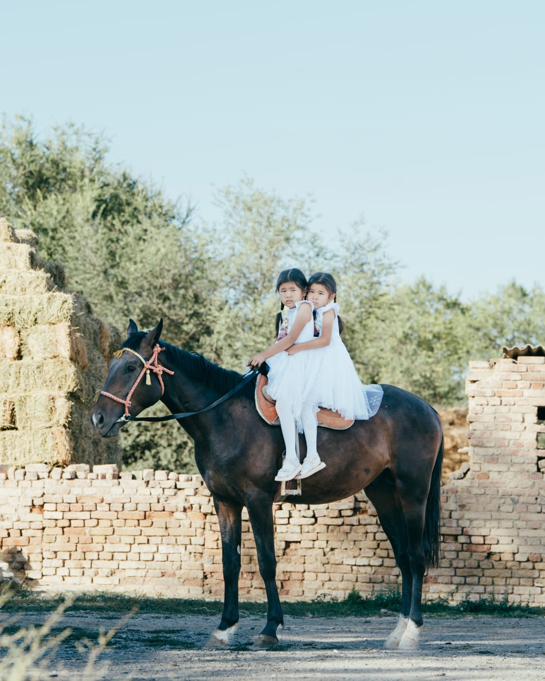 Ерлер дәретханасында қызбен жыныстық қатынас